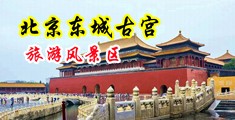 欧美操逼视频免费的中国北京-东城古宫旅游风景区